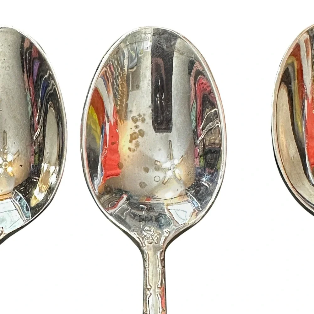 WM Rogers & Son Silver Plate Flatware 10pc Set Enchanted Rose‎ Floral Art Deco